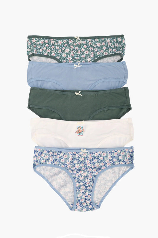 Pack of 5 Cotton Colored Bikini Panties – Multicolor