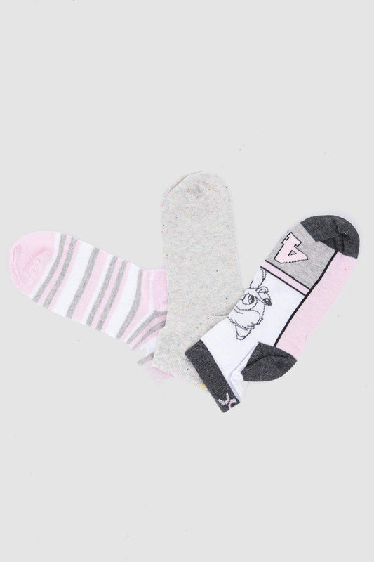 Cotton Ankle Socks - 3 Pairs - Carina - ÙƒØ§Ø±ÙŠÙ†Ø§