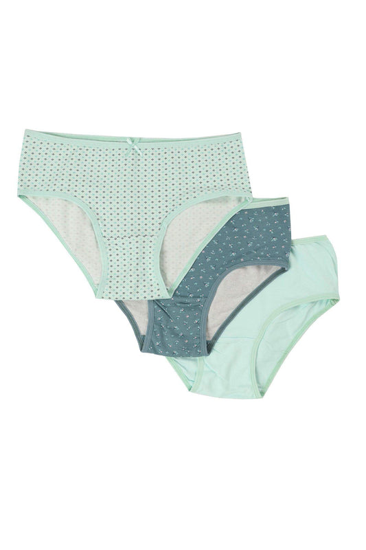 Pack of 3 Colored Brief Panties - Carina - ÙƒØ§Ø±ÙŠÙ†Ø§
