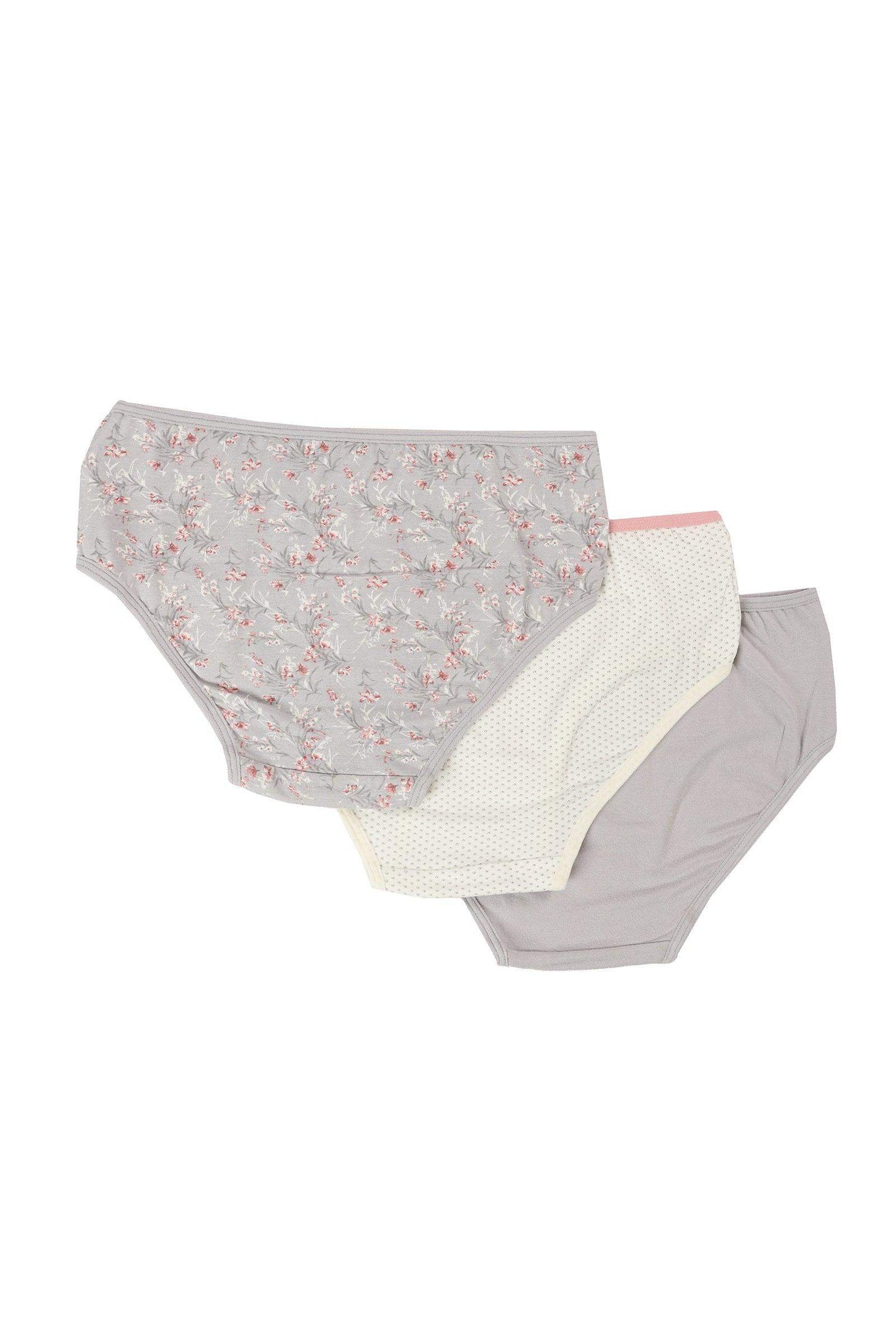 Pack of 3 Colored Brief Panties - Carina - ÙƒØ§Ø±ÙŠÙ†Ø§