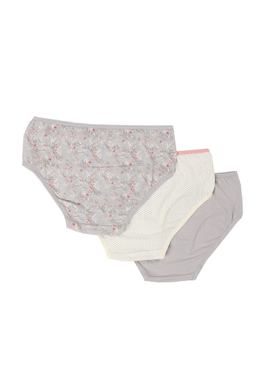 Pack of 3 Colored Brief Panties - Carina - ÙƒØ§Ø±ÙŠÙ†Ø§