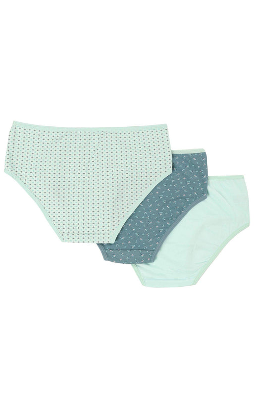 Pack of 3 Colored Brief Panties - Carina - ÙƒØ§Ø±ÙŠÙ†Ø§